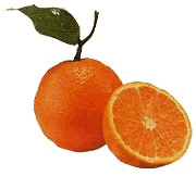 Valencia Oranges